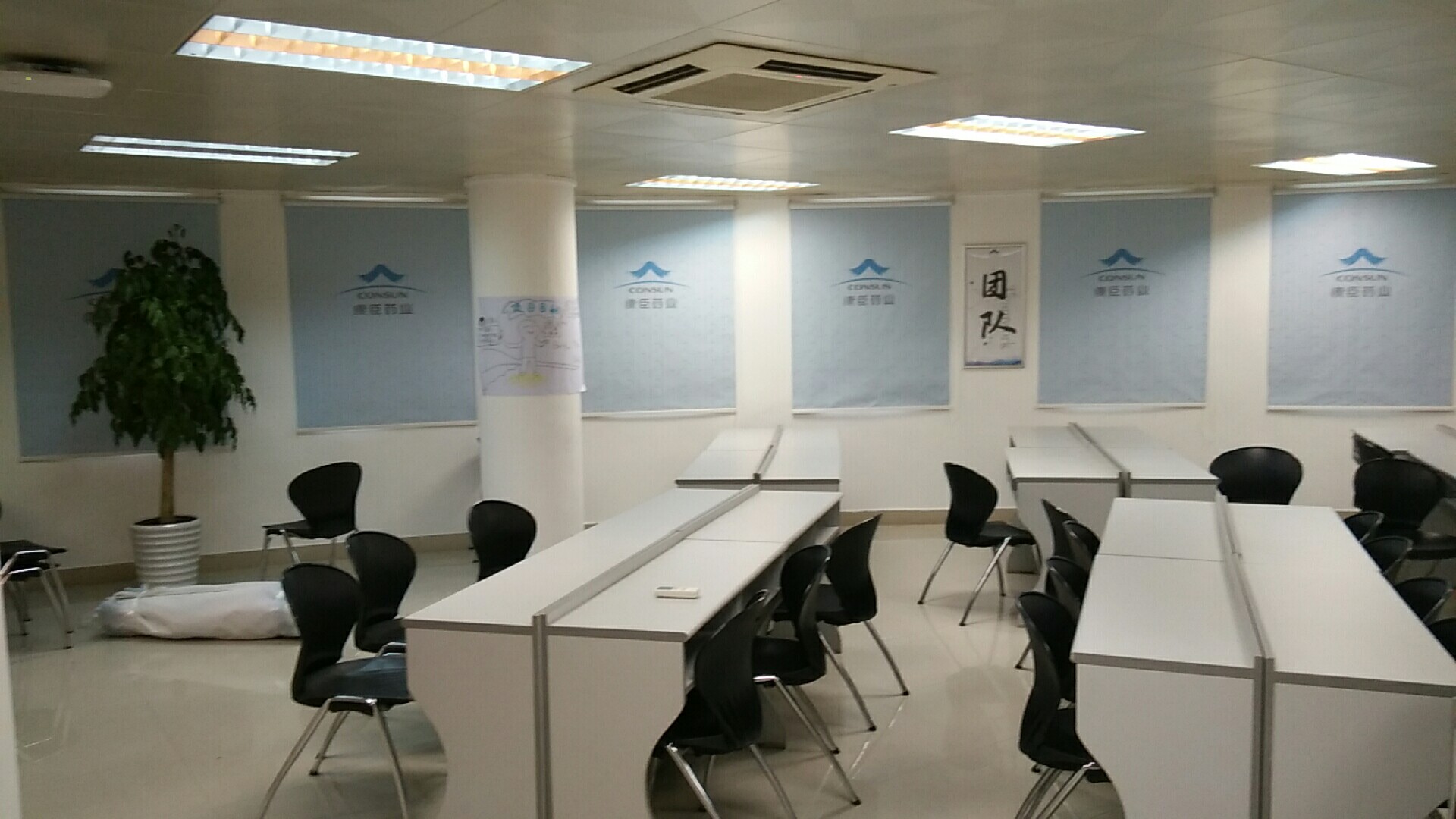 蘿崗東鵬大道康臣藥業實拍效果圖片