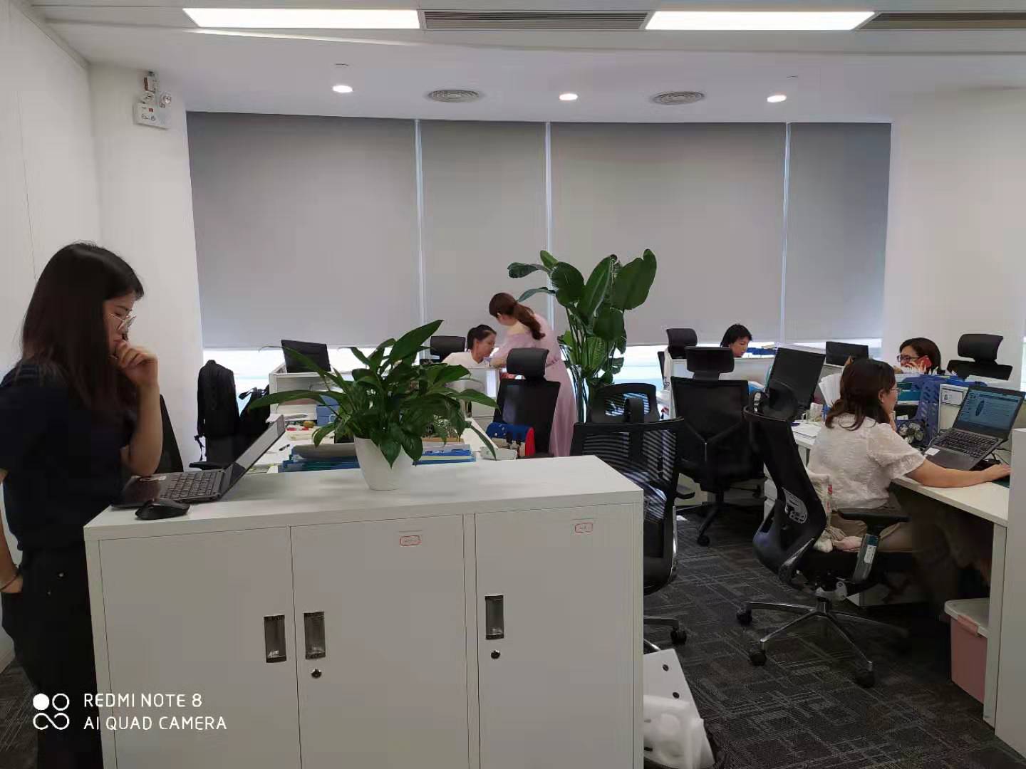 順德光電產業園工程實拍圖